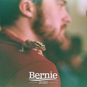 Meet your Posher, Evan